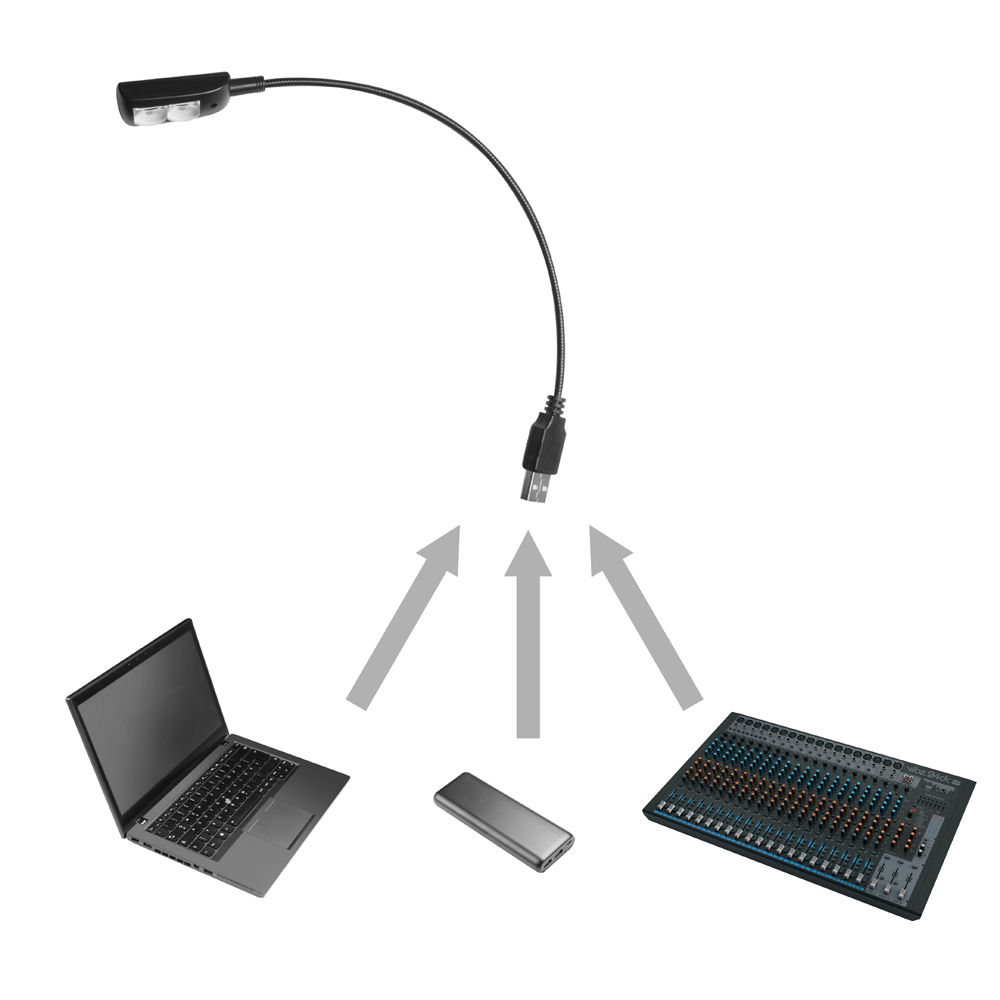 Lampada a collo di cigno USB con 2 LED